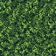 top-down rpg grass terrain tile, dense dark green grass texture covering the whole square, mottled tufts and small blades, subtle dirt specks, muted earthy green, retro 16-bit pixel art, uniform texture edge to edge