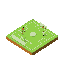 soccer palyer
