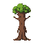 tree ent