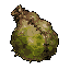 dark fantasy roguelite, single object centered, swollen venom gland with semi-translucent organic membrane and murky green fluid inside, wet grotesque texture, stitched flesh appearance, asymmetrical bulbous silhouette, unsettling alchemical-organic troph