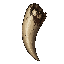 dark fantasy roguelite, single object centered, large wolf fang with worn ivory texture, cracked root and traces of dried blood near the base, primal organic trophy, asymmetrical curved silhouette, survival hunting aesthetic, tactile aged material, common