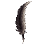 dark fantasy roguelite, single object centered, long harpy feather with dark desaturated plumage fading into pale bone-like edges, subtle grime and dried blood stains, asymmetrical curved silhouette, uncommon creature trophy, worn mystical-organic texture