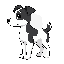 black and white cute dog side view 
