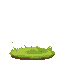 grass