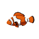 hyper realistic clownfish side view