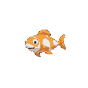 swimming