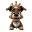dog king talking