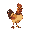 chiken
