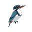 please make me a 30x30 pixel image of a belted kingfisher with white background 