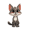 gato nina