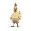 chicken 
