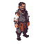  villager 