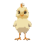 chickn