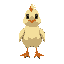 chickn