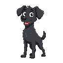 black dog
