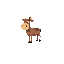 boer
