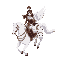 beautiful warrior-type woman riding a white winged horse.