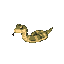 hognose snake