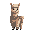 peruvian alpaca
