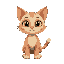 a cute cat