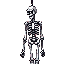 hanging skeleton 