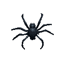 spider in a dark fantasy theme