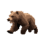 a realistic grizzly bear galloping on all fours