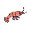 shrimp