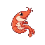 shrimp