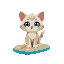 cute, small ragdoll cat with light blue eyes on a flip flop