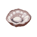 pearl oyster