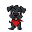  a lively black pooch dog with a red bandana tied around his neck, with a charismatic personality
