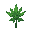 cannabis flower