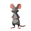 a rat that stands like a human