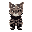 cat knight
