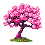 cherry tree pink flowers pixel