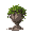broken ancient urn covered in vines