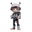 space rider