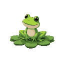 green frog sittion on a water lily