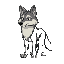 a wolf 