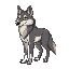 a wolf 