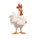 chicken