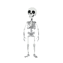 skeleton character rotated 45 degrees towards the screen