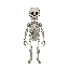 skeleton without arms