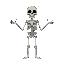 skeleton with four arms