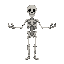 skeleton with 4 arms
