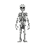 skeleton