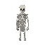 skeleton