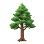 tall green pine tree with brown trunk 
