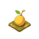 seed